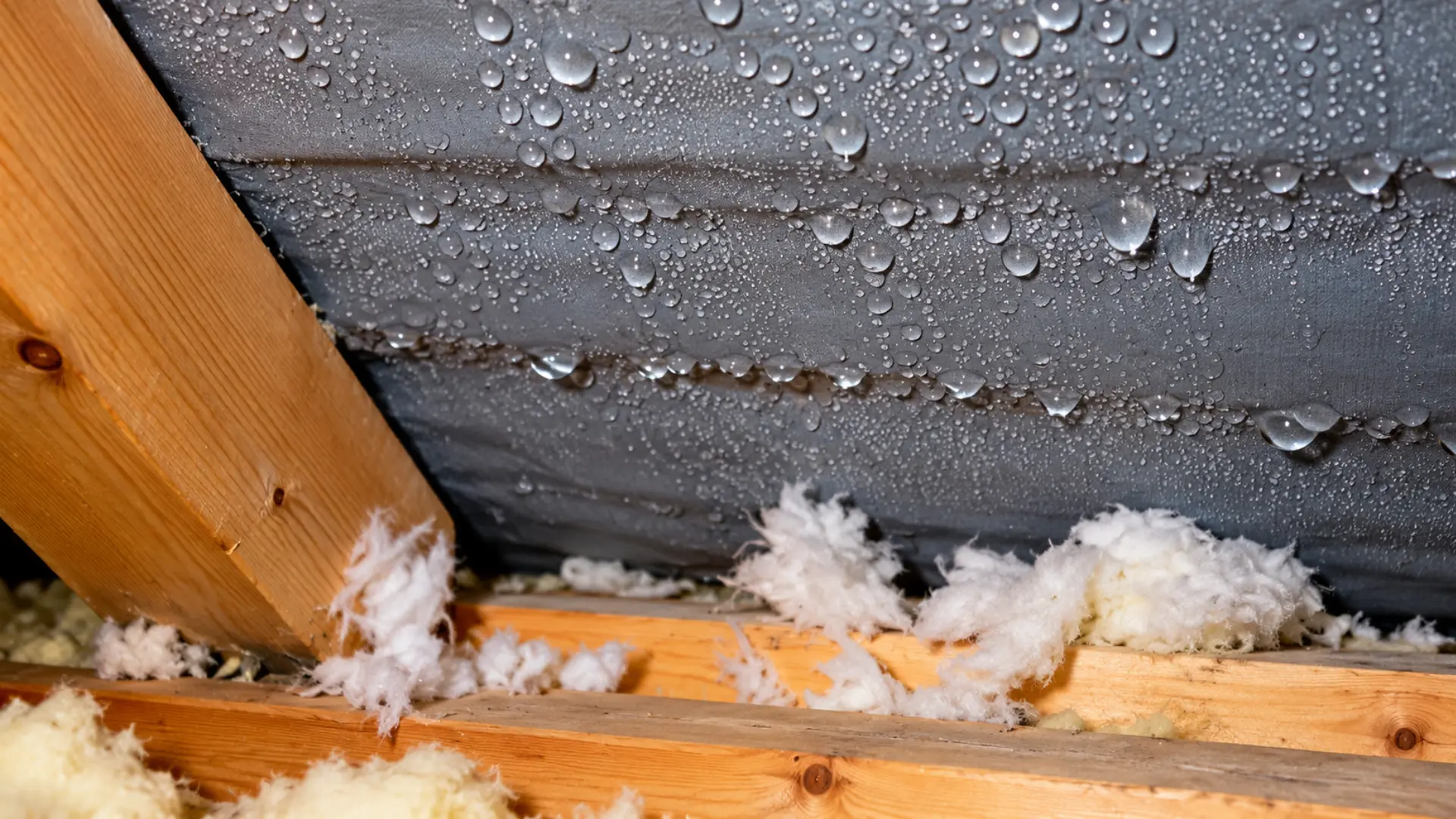 Pourquoi de la condensation apparaît-elle sous la toiture en hiver ?